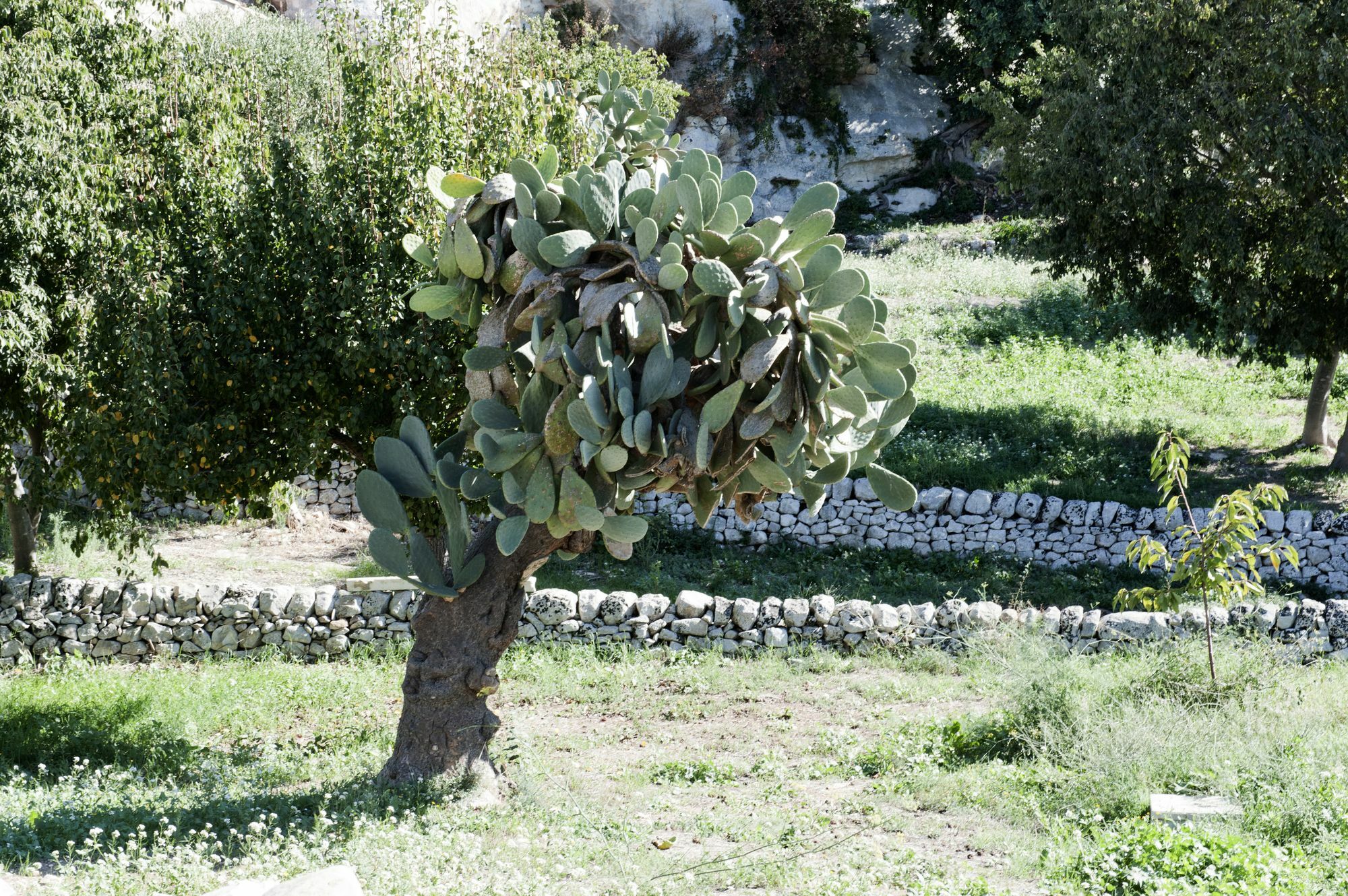 Valle Dell'Acanto Modica Exterior photo